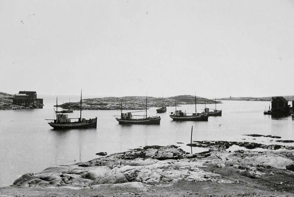 Fiskeskøter